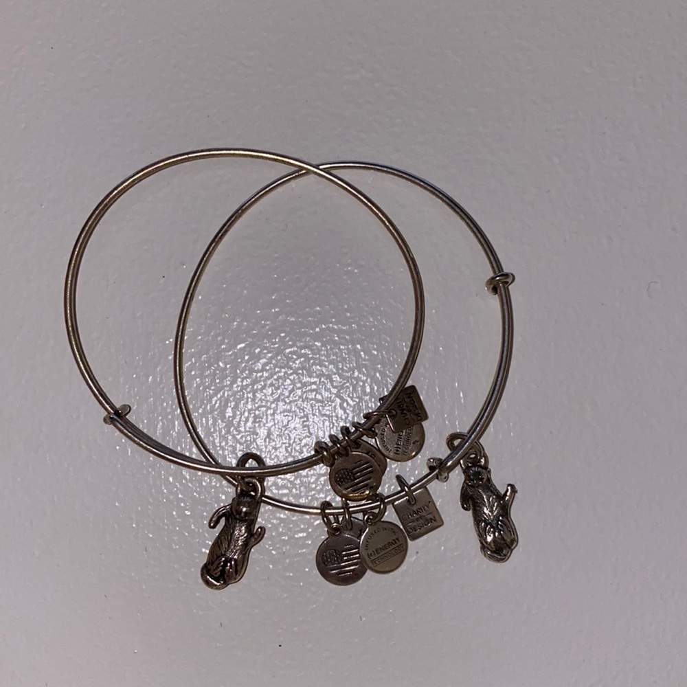 AUTHENTIC - Alex & Ani Bracelet - Otter duo pair; Silver
